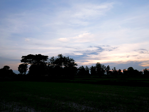 Beautiful Sunset, sunlight and tree field landscape in the evening.