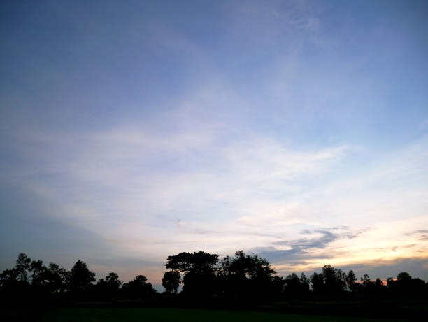 istock Beautiful Sunset, sunlight and tree field landscape in the evening. 1035020736