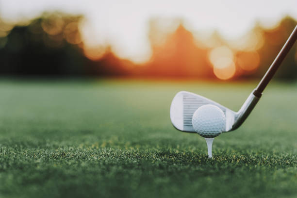 golf-stick und golfball auf stand auf der grünen wiese. - golf course fotos stock-fotos und bilder