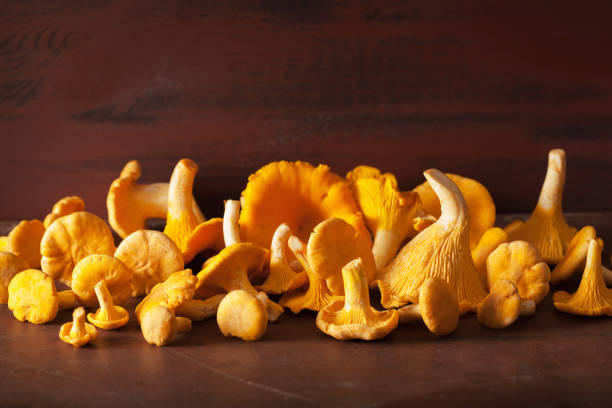 istock raw fresh chanterelle mushrooms on dark background 1035031508