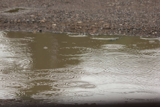 istock water puddles with raindrops and water circles 1035037886