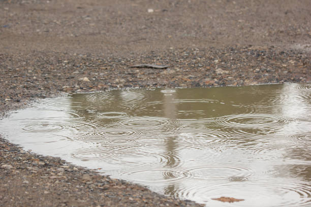 istock water puddles with raindrops and water circles 1035037900