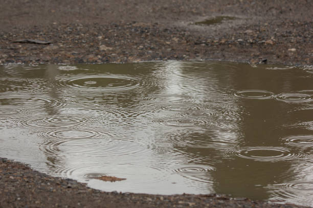 istock water puddles with raindrops and water circles 1035037910