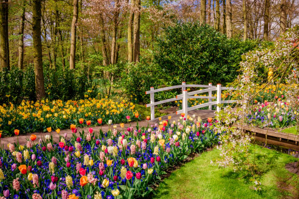 istock Beautiful  park. Landscaped Formal Garden 1035039014