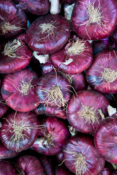 istock purple onion. Red onions 1035039868