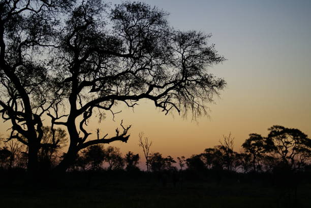 istock Sunset over an island 1035040398