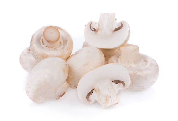 istock white Mushroom champignon isolated on white background 1035043204