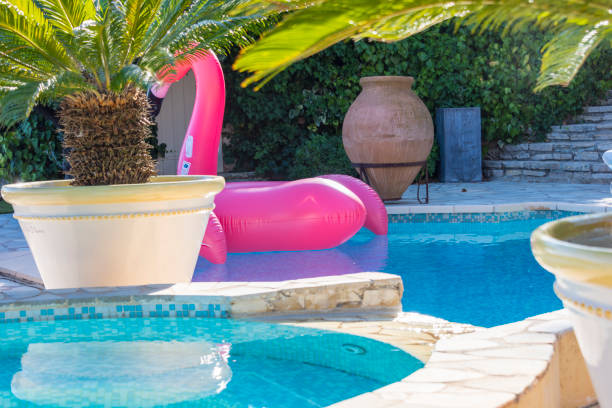 istock Flamingo inflatable on swimming pool 1035043784