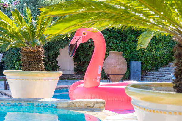 istock Flamingo inflatable on swimming pool 1035043912