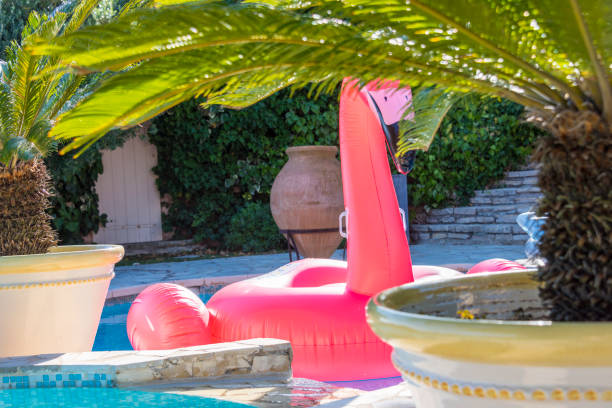 istock Flamingo inflatable on swimming pool 1035043970