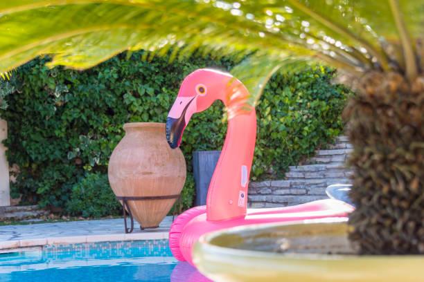 istock Flamingo inflatable on swimming pool 1035044018