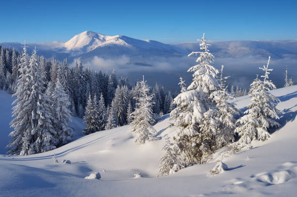 istock Beautiful winter landscape 1035044880