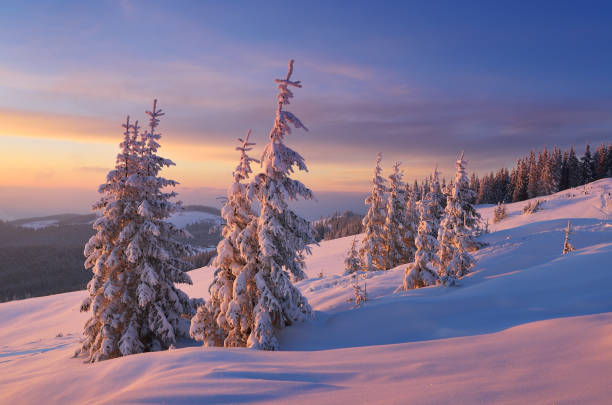 istock Beautiful winter landscape 1035044922