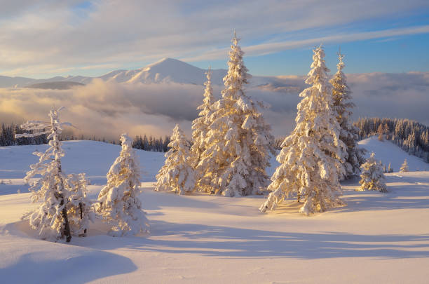 istock Christmas landscape in the mountains 1035044964