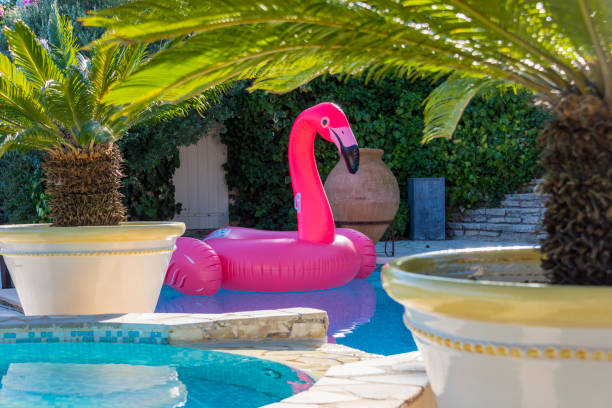 istock View on blue swimming pool with palm 1035050016