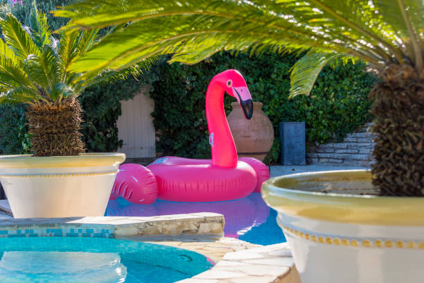 istock View on blue swimming pool with palm 1035050034