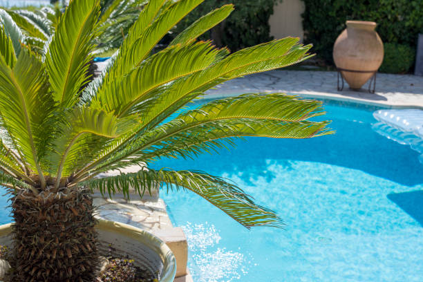 istock Ripple Water in swimming pool witn sun reflection 1035052148