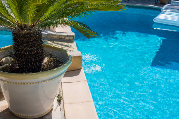 istock View on blue swimming pool with Plam 1035052592