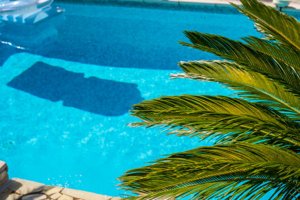 istock Ripple Water in swimming pool witn sun reflection 1035052664