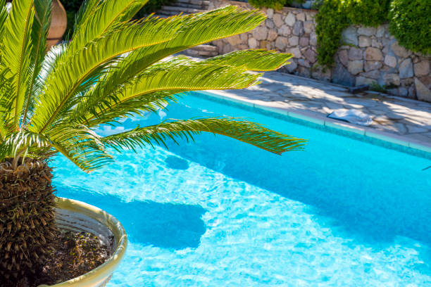 istock View on blue swimming pool with Plam 1035053676