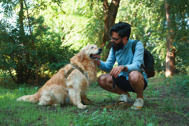 istock Handsome young man with golden retriver outdoors 1035054144