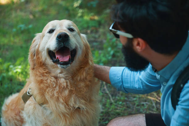 istock Handsome young man with golden retriver outdoors 1035054252