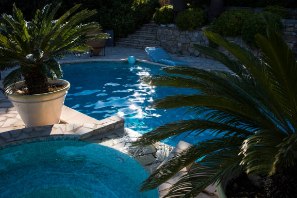 istock View on blue swimming pool with Plam 1035054398