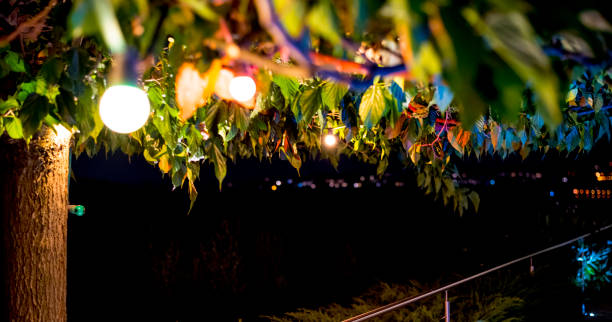 istock ecorative electric festoon of lighting bulbs hanging on tree 1035056924