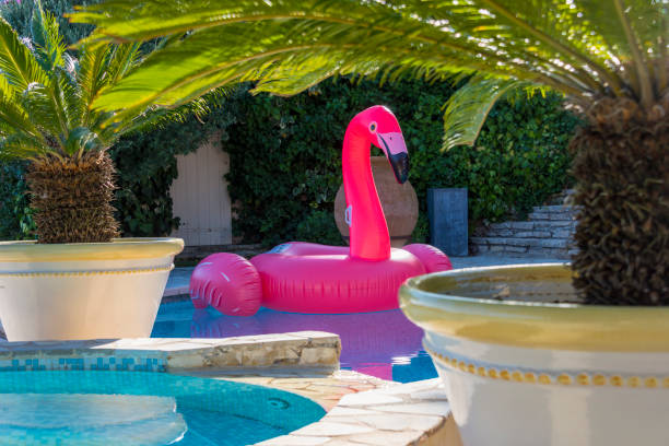 istock View on blue swimming pool with Plam 1035057078