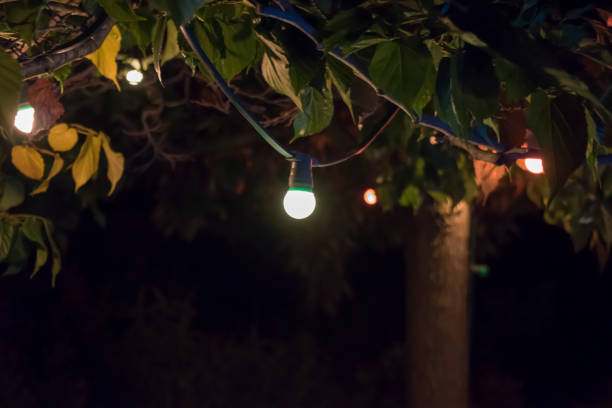 istock Decorative electric festoon of lighting bulbs hanging on tree branches 1035058920