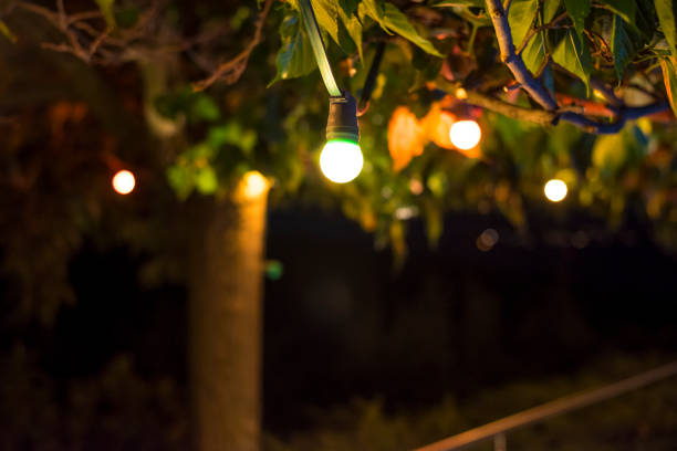 istock Decorative electric festoon of lighting bulbs hanging on tree branches 1035063926