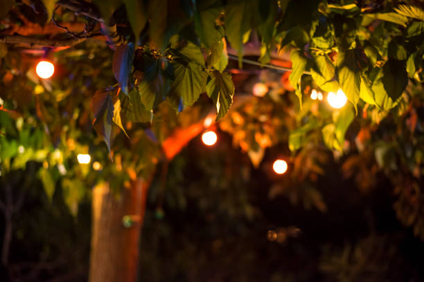 istock Decorative electric festoon of lighting bulbs hanging on tree branches 1035063988