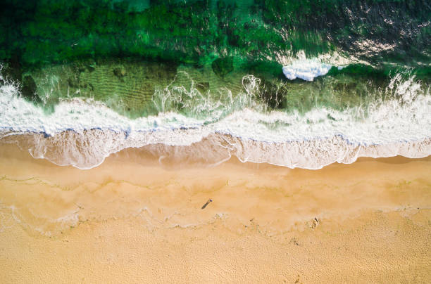 istock High angle view of man standing on the beach 1035065346