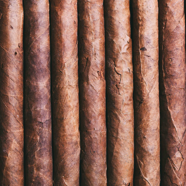 istock Cuban cigars close up, background. Directly from above top view . 1035065710