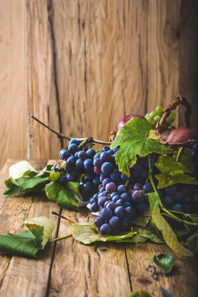 Fresh grapes on wood. Autumn fruit