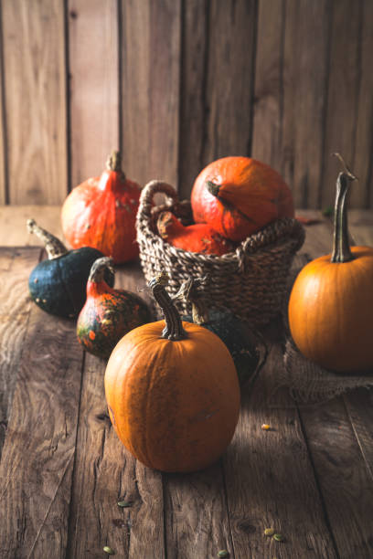istock Pumpkins variety on table. Thanksgiving decoration 1035065816