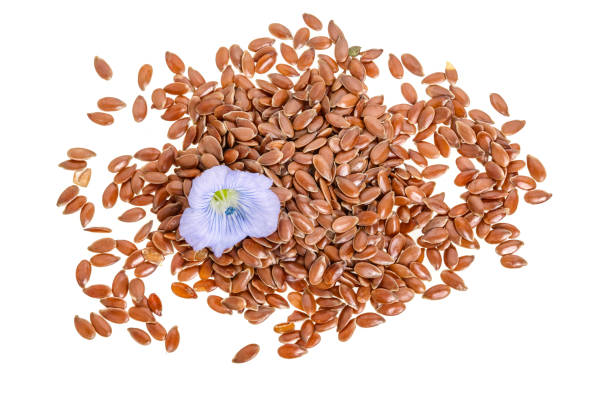 istock flax seeds with flower isolated on white background 1035070154