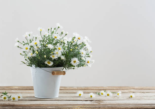 istock white flowers on bucket on wooden table 1035073854