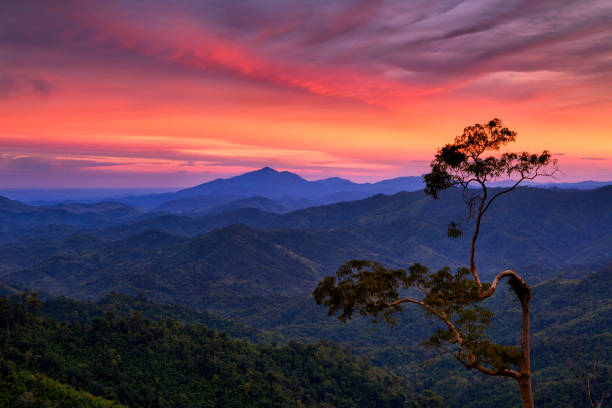 istock Sunset with beautiful sky and tree in Phu Phaya Pho, Phrae Province, Thailand 1035081192