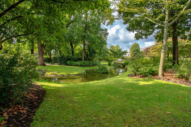 istock Scene of a beautiful garden 1035081456