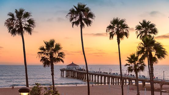 Palm trees and Pier on Manhattan Beach at sunset in California, Los Angeles, USA. Vintage processed.