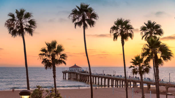 Sunset at Manhattan Beach and pier. Vintage processed Palm trees and Pier on Manhattan Beach at sunset in California, Los Angeles, USA. Vintage processed. santa monica stock pictures, royalty-free photos & images