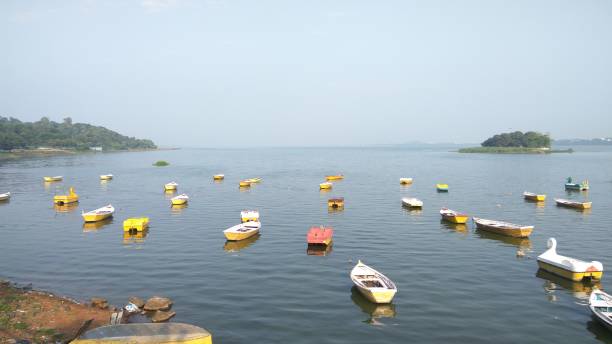 boats in the upper lake, Bhopal. boats forming a beautiful scene in the upper lake, Bhopal. bhopal lake stock pictures, royalty-free photos & images