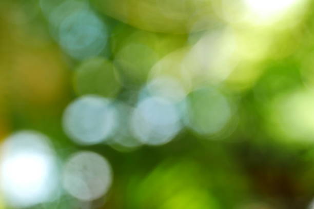 istock Bokeh of nature green background 1035095850
