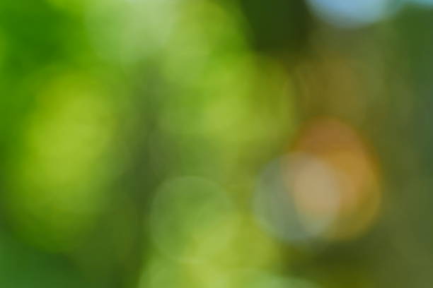 istock Bokeh of nature green background 1035095928