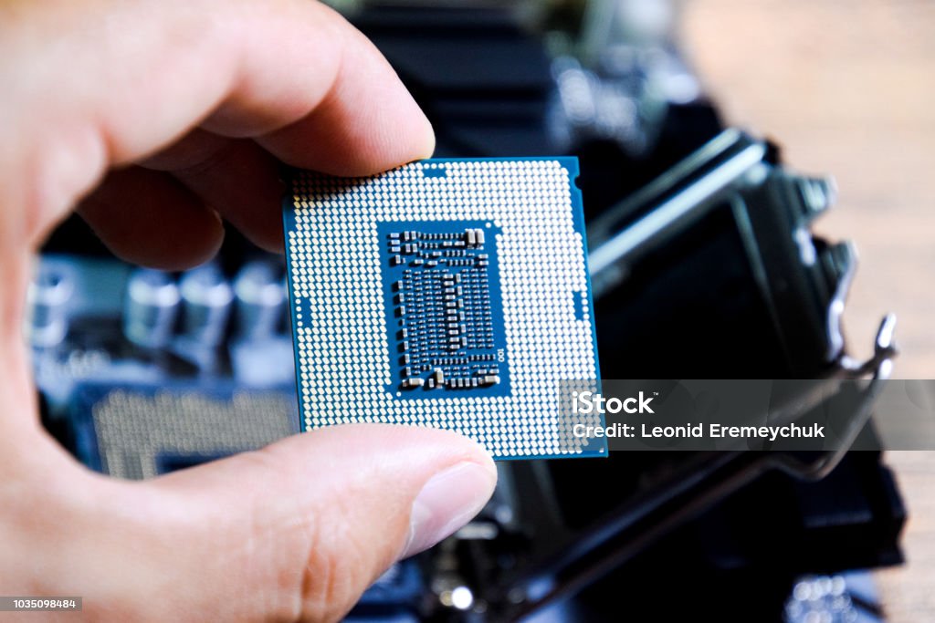 Il processore è un computer desktop in mano. Ispezionare i contatti della CPU prima dell'installazione - Foto stock royalty-free di Adulto