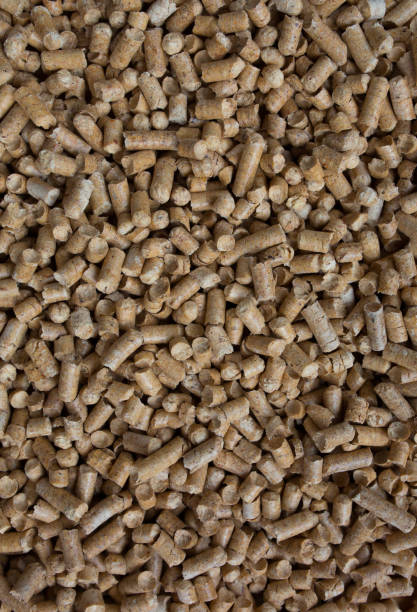 istock Wooden pet bedding background. Wood pellets texture. 1035101002