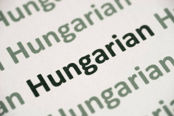 istock word Hungarian  language printed on paper macro 1035105204