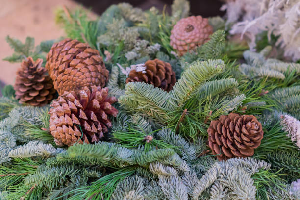 istock close up of pine cones on christmas tree 1035108624