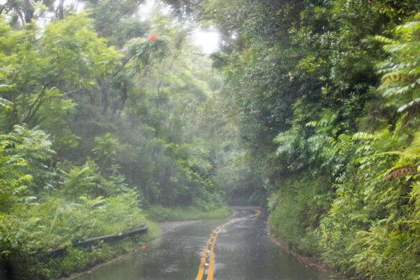 Rain on Highway during Storm Maui Hawaii stock photo